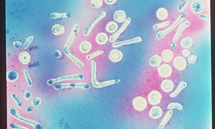 Image related to Anti-inflammatory drugs ‘could fight depression’