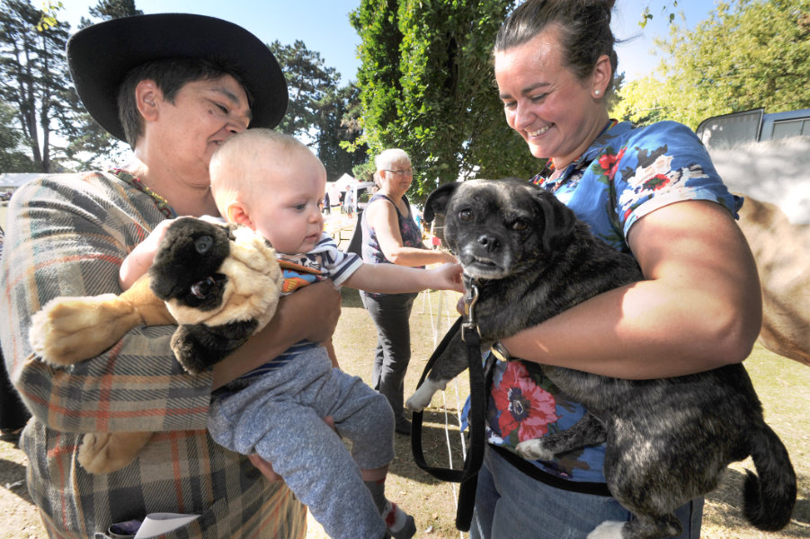 The Oxford Health Charity's Healthfest 2019 at The Warneford Hospital, Oxford. A young visitor meets Patient Experience and Involvement Team manager Donna Mackenzie-Brown and her 'pat dog' Roxy.