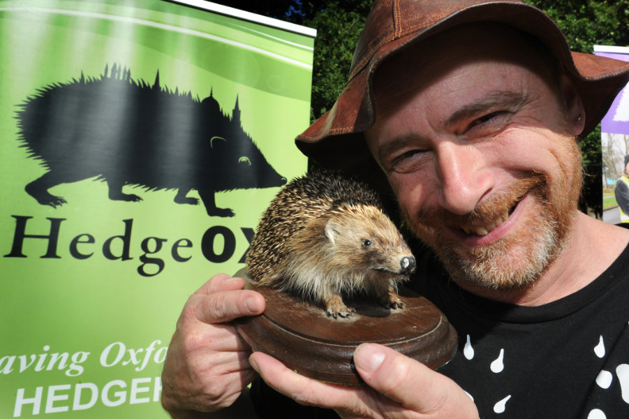 The Oxford Health Charity's Healthfest 2019 at The Warneford Hospital, Oxford. Hedgehog fan Hugh Warwick of HedgeOX.