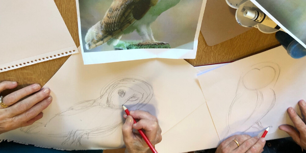 Image related to Owls fly to canvas in City Community Hospital