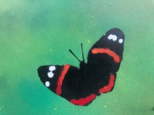 An image of a butterfly from the Littlemore Hospital garden.