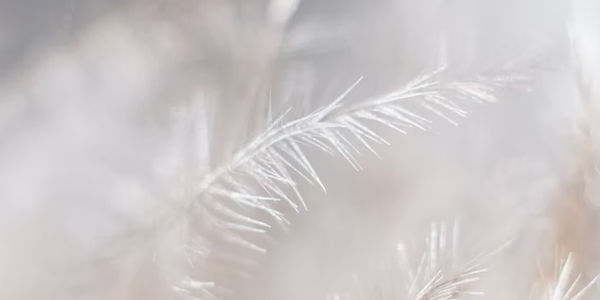 Breath-Sound-Voice